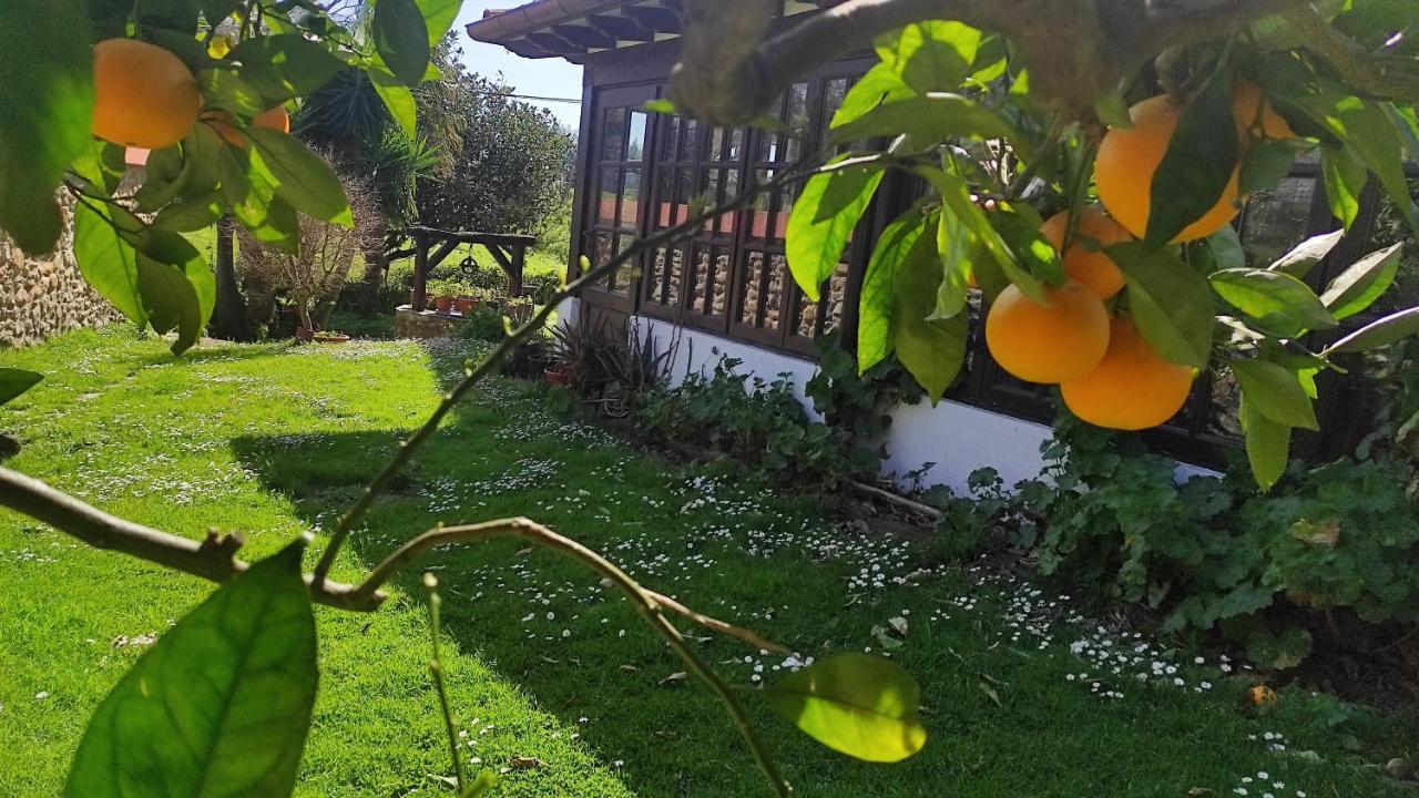 Posada Rio Cubas Cubas  Eksteriør bilde